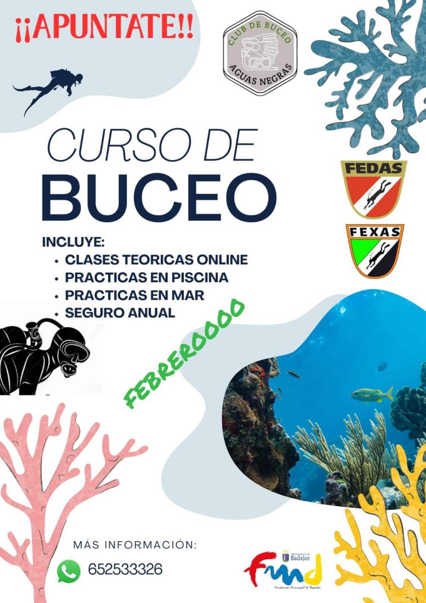Cartel del evento